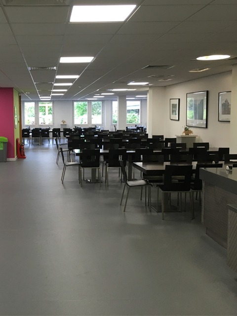 Commercial Flooring Install